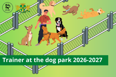 Trainer at the dog park 2026-2027