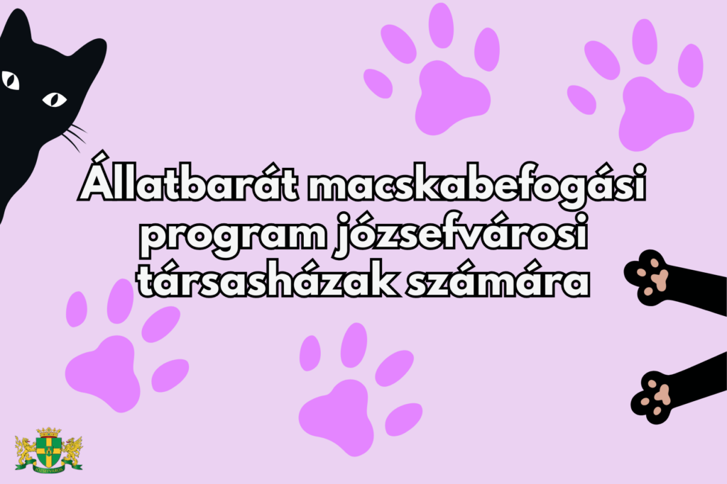 Állatbarát macskabefogó program józsefvárosi társasházak számára