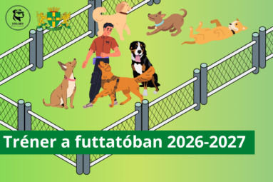 Tréner a futtatóban 2026-2027