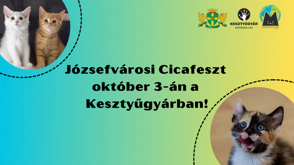 Józsefvárosi Cicafeszt október 3-án a Kesztyűgyárban!