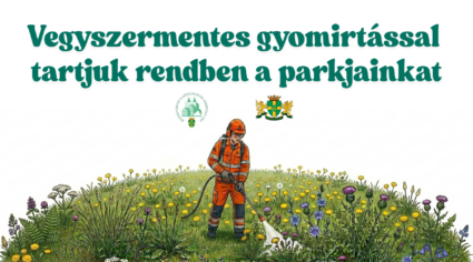 Vegyszermentes gyomírtással tarjuk rendben a parkjainkat