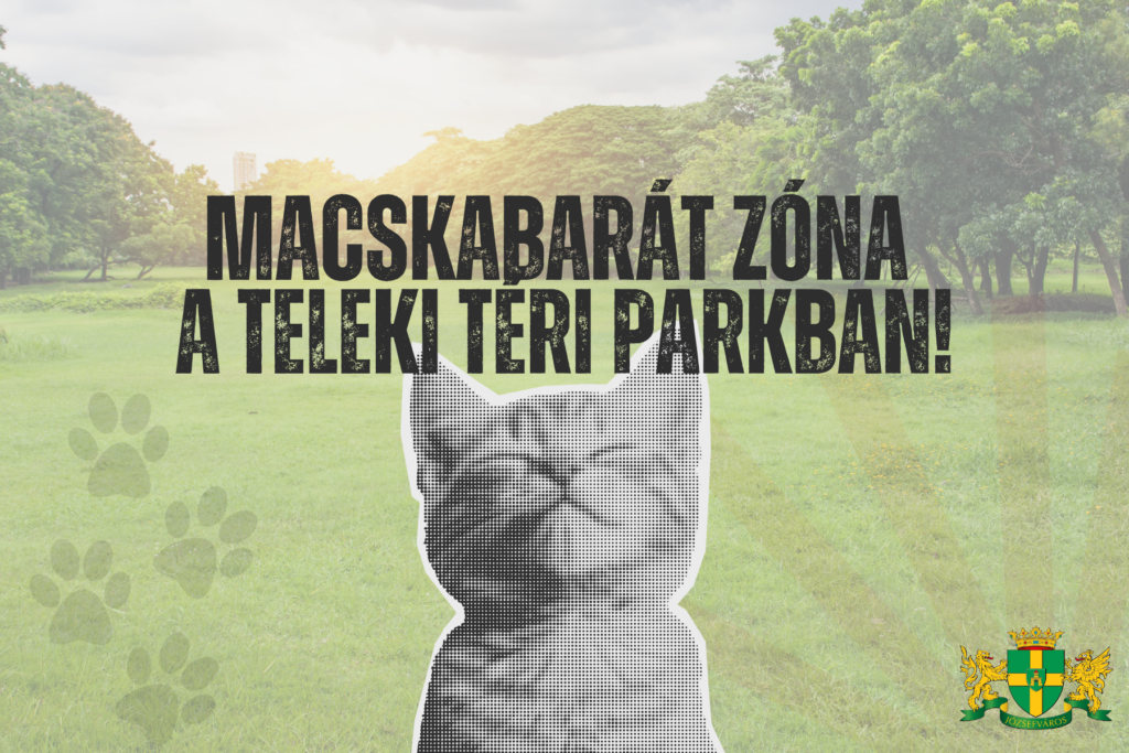 Macskabarát zóna a teleki téri parkban