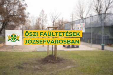 Őszi faültetések Józsefvárosban